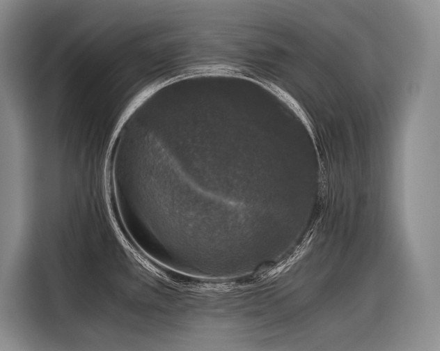 X0000116441389200912081547