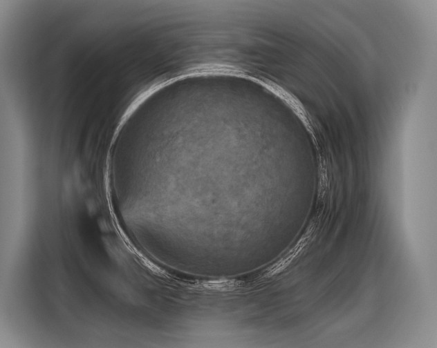 X0000116441390200912081547