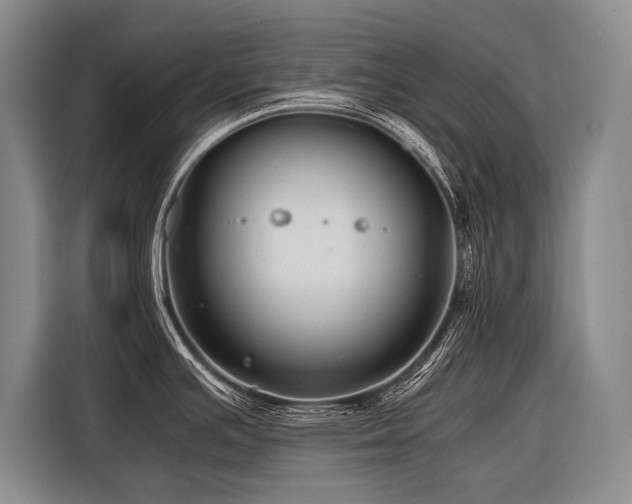 X0000116441391200912081547