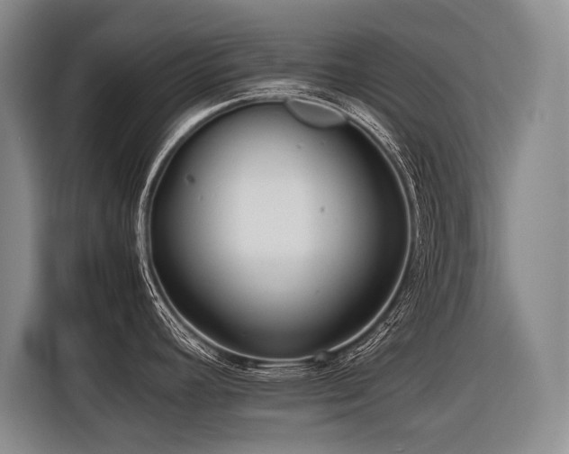 X0000116441392200912081547
