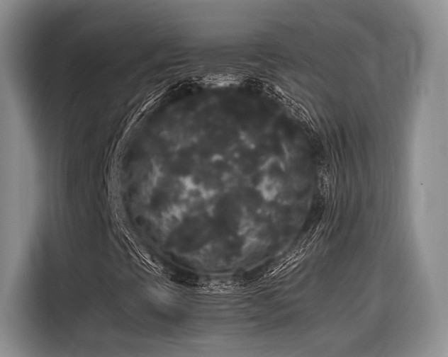 X0000116441393200912081547
