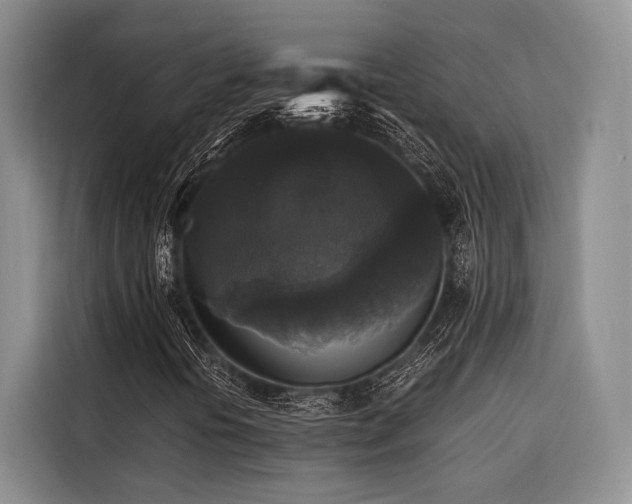 X0000116441394200912081547