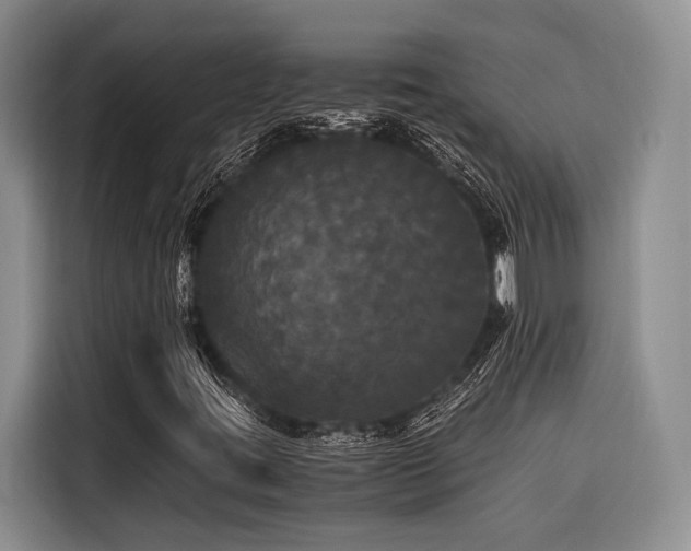 X0000116441395200912081547