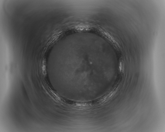 X0000116441396200912081547