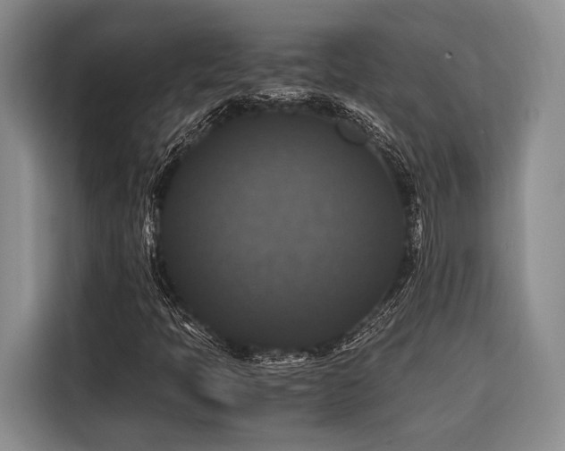 X0000116441397200912081547