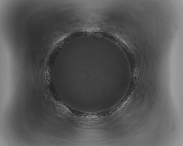 X0000116441398200912081547