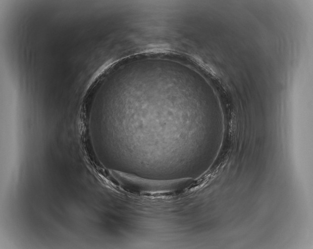 X0000116441400200912081547