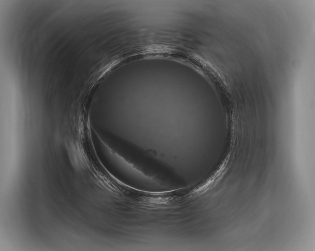 X0000116441401200912081547