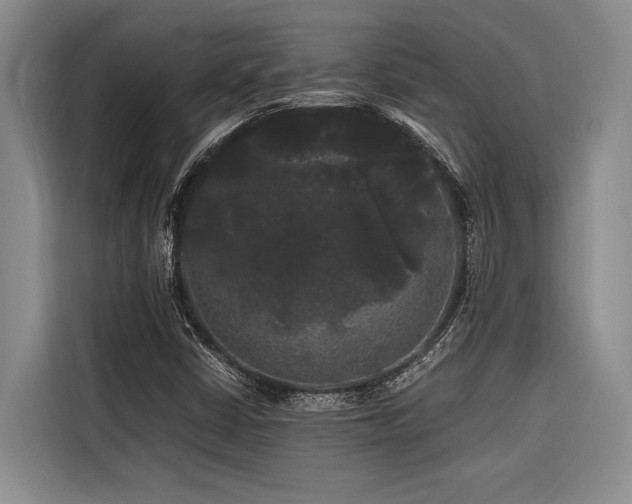 X0000116441402200912081547