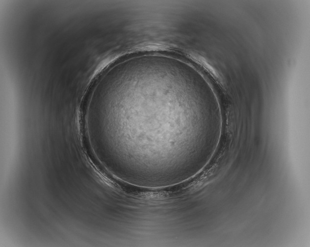 X0000116441404200912081547