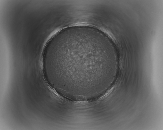 X0000116441406200912081547