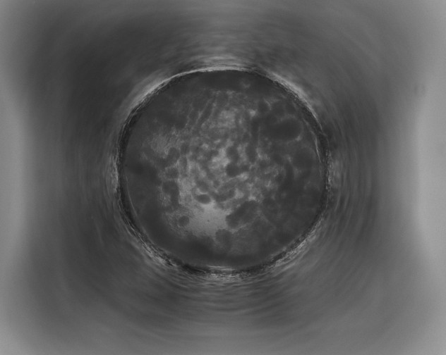 X0000116441407200912081547