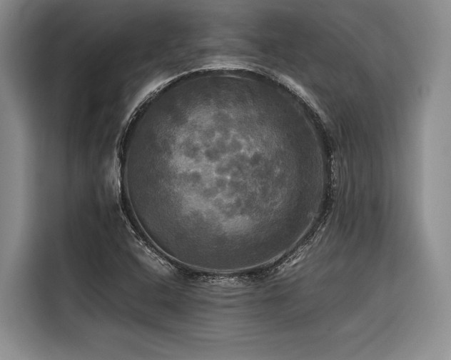 X0000116441408200912081547