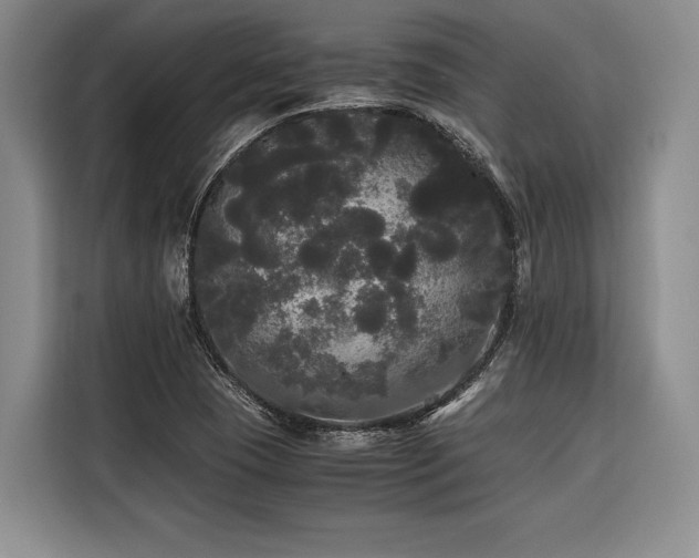 X0000116441409200912081547