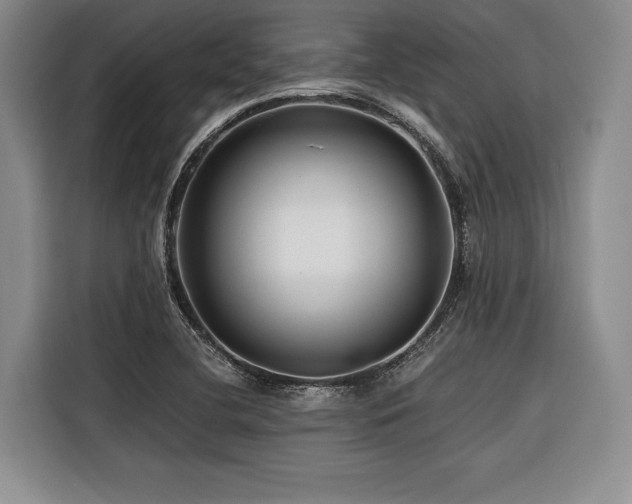 X0000116441412200912081547