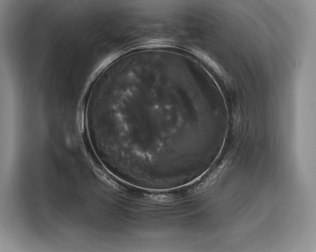 X0000116441413200912081547