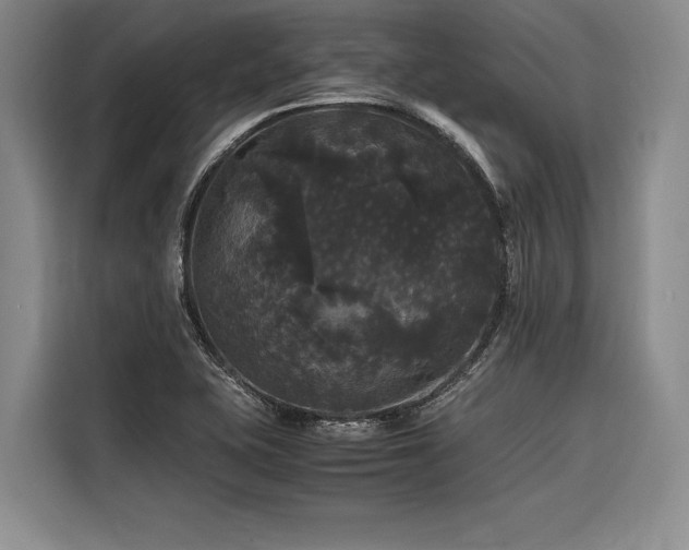 X0000116441415200912081547