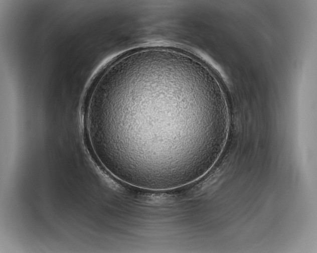 X0000116441416200912081547