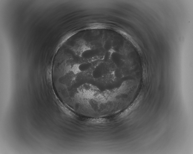 X0000116441417200912081547