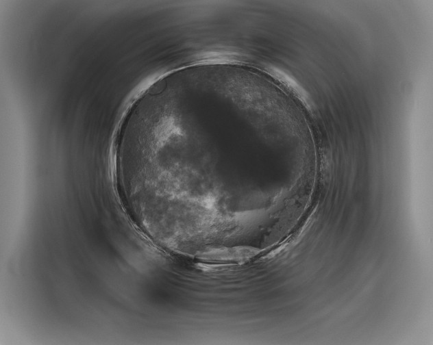 X0000116441419200912081547