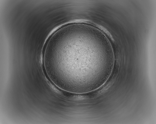 X0000116441420200912081547