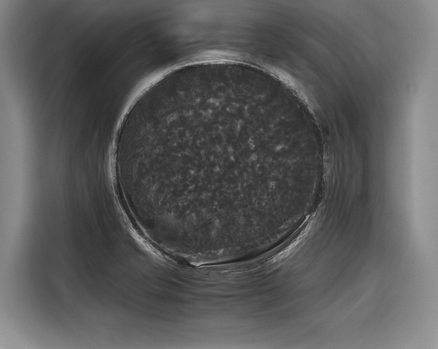 X0000116441421200912081547