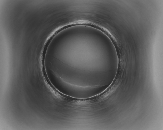 X0000116441422200912081547