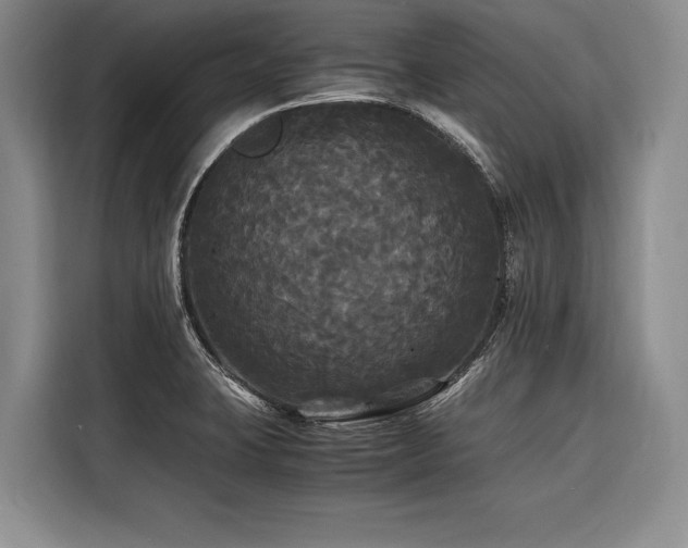 X0000116441423200912081547