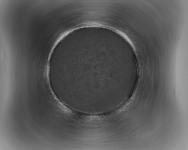 X0000116441424200912081547