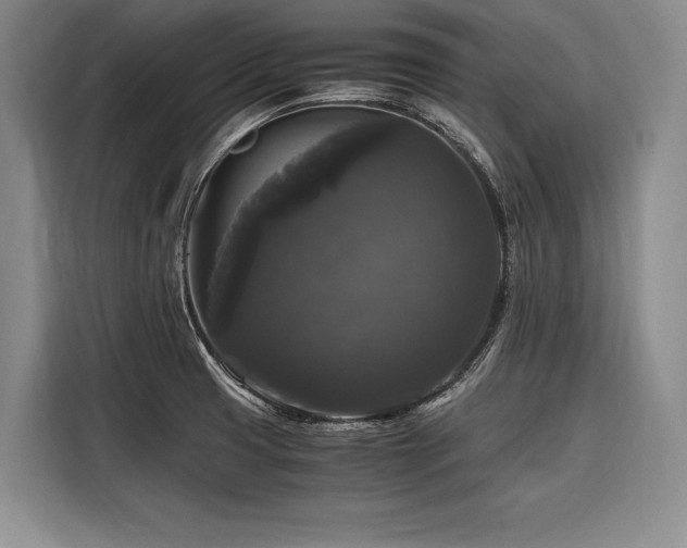 X0000116441425200912081547
