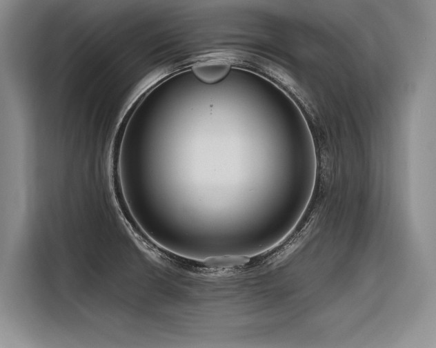 X0000116441426200912081547