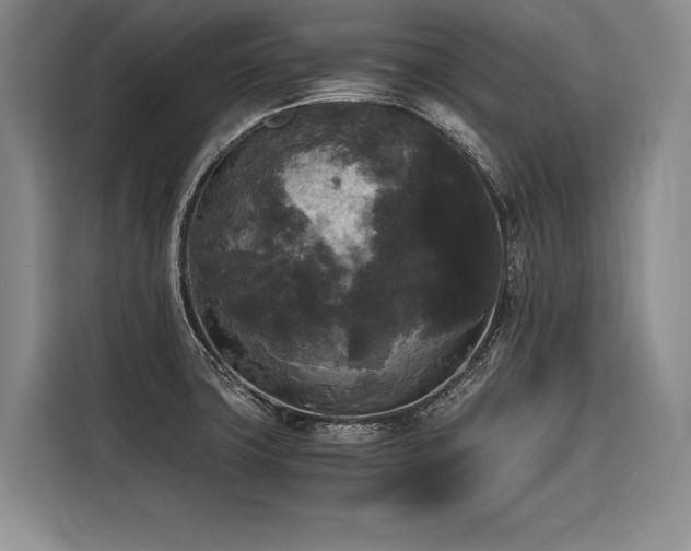 X0000116441427200912081547