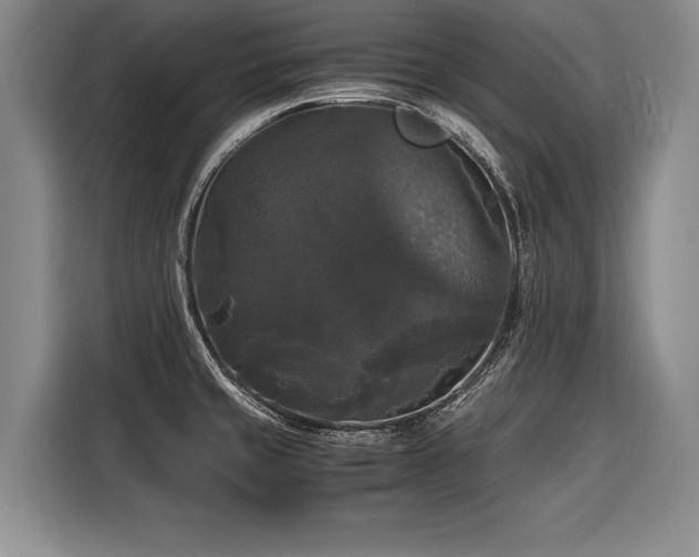 X0000116441429200912081547