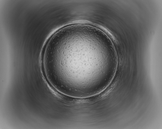 X0000116441430200912081547