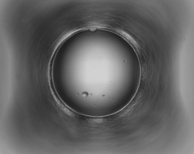 X0000116441431200912081547