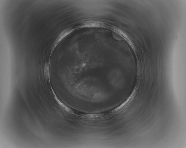 X0000116441433200912081547