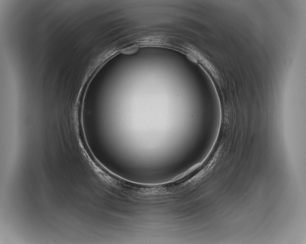 X0000116441434200912081547