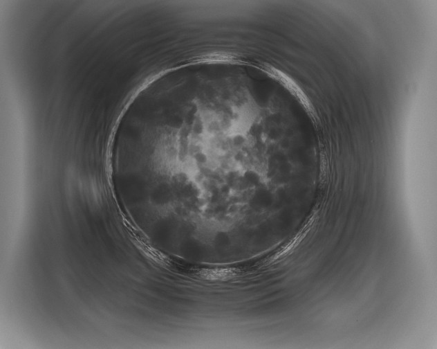 X0000116441435200912081547