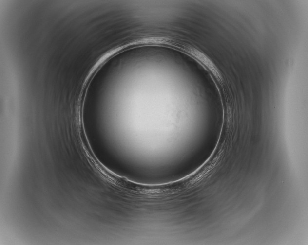 X0000116441436200912081547