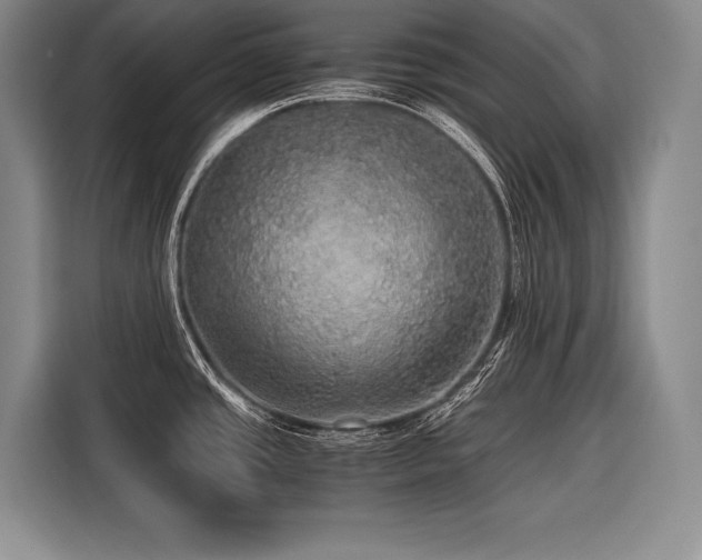 X0000116441437200912081547