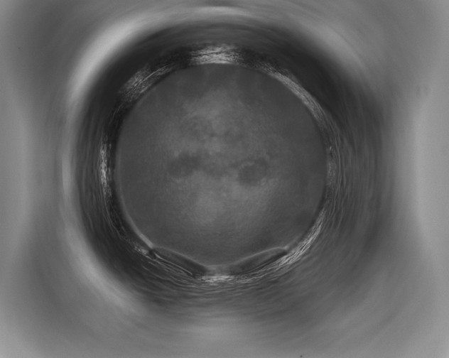 X0000116441438200912081547
