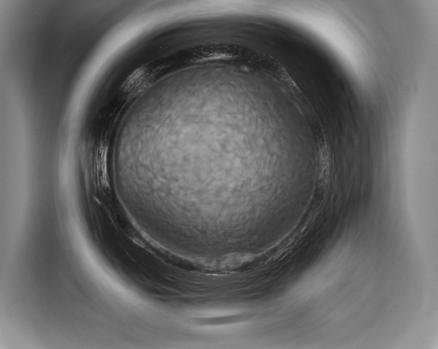 X0000116441439200912081547