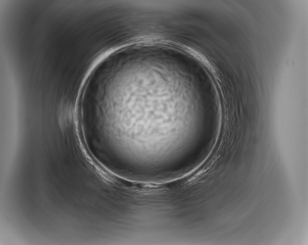 X0000116441440200912081547