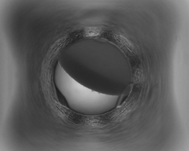 X0000116441441200912081547