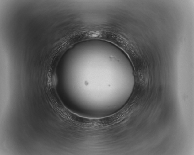 X0000116441442200912081547