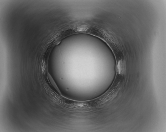 X0000116441443200912081547