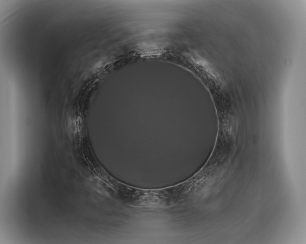 X0000116441445200912081547