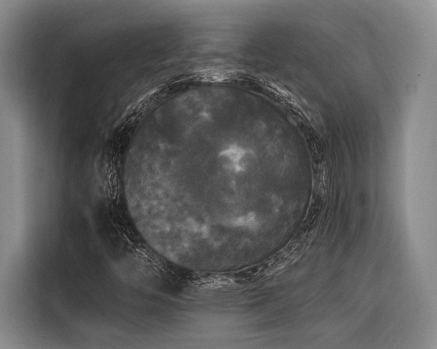 X0000116441446200912081547