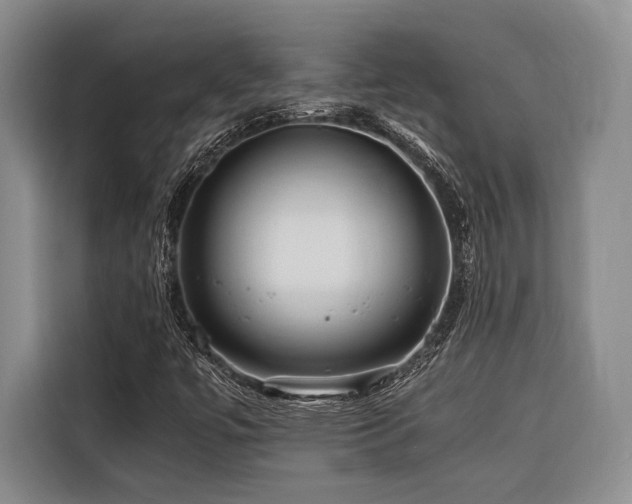 X0000116441447200912081547