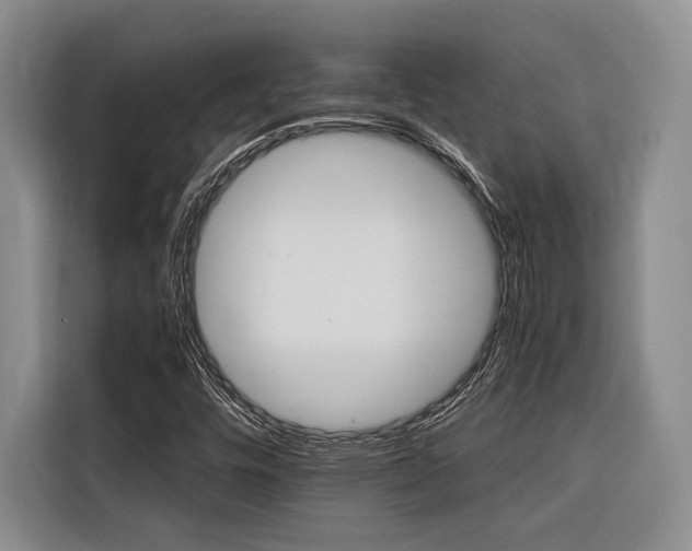 X0000116441448200912081547